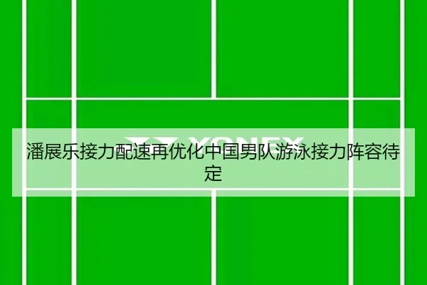 潘展乐接力配速再优化中国男队游泳接力阵容待定
